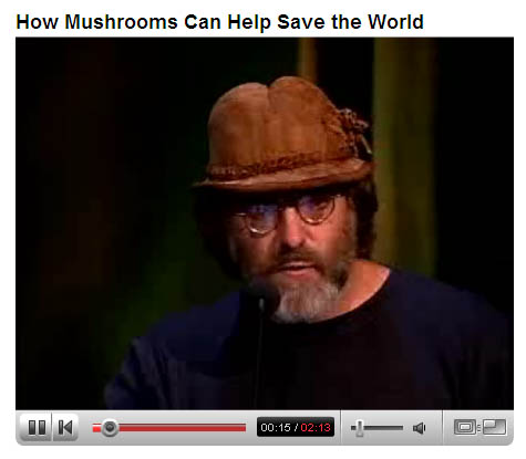 Paul Stamets ~ How Mushrooms Can Help Save The World