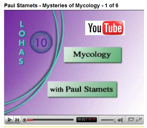 Paul Stamets ~ Mysteries of mycology